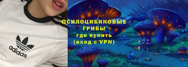 гашик Аркадак