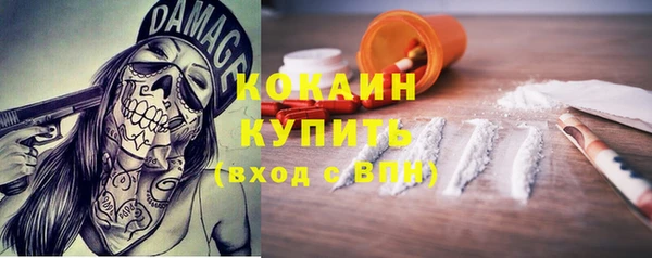 гашик Аркадак