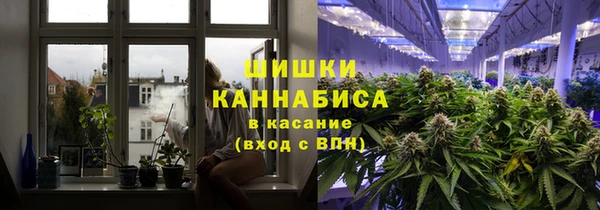 гашик Аркадак