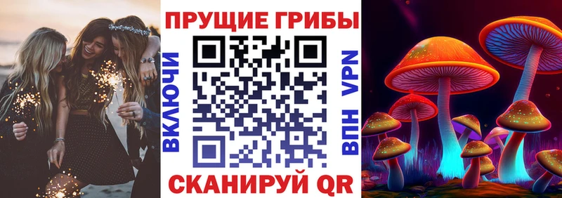 Псилоцибиновые грибы прущие грибы  купить   Талдом 